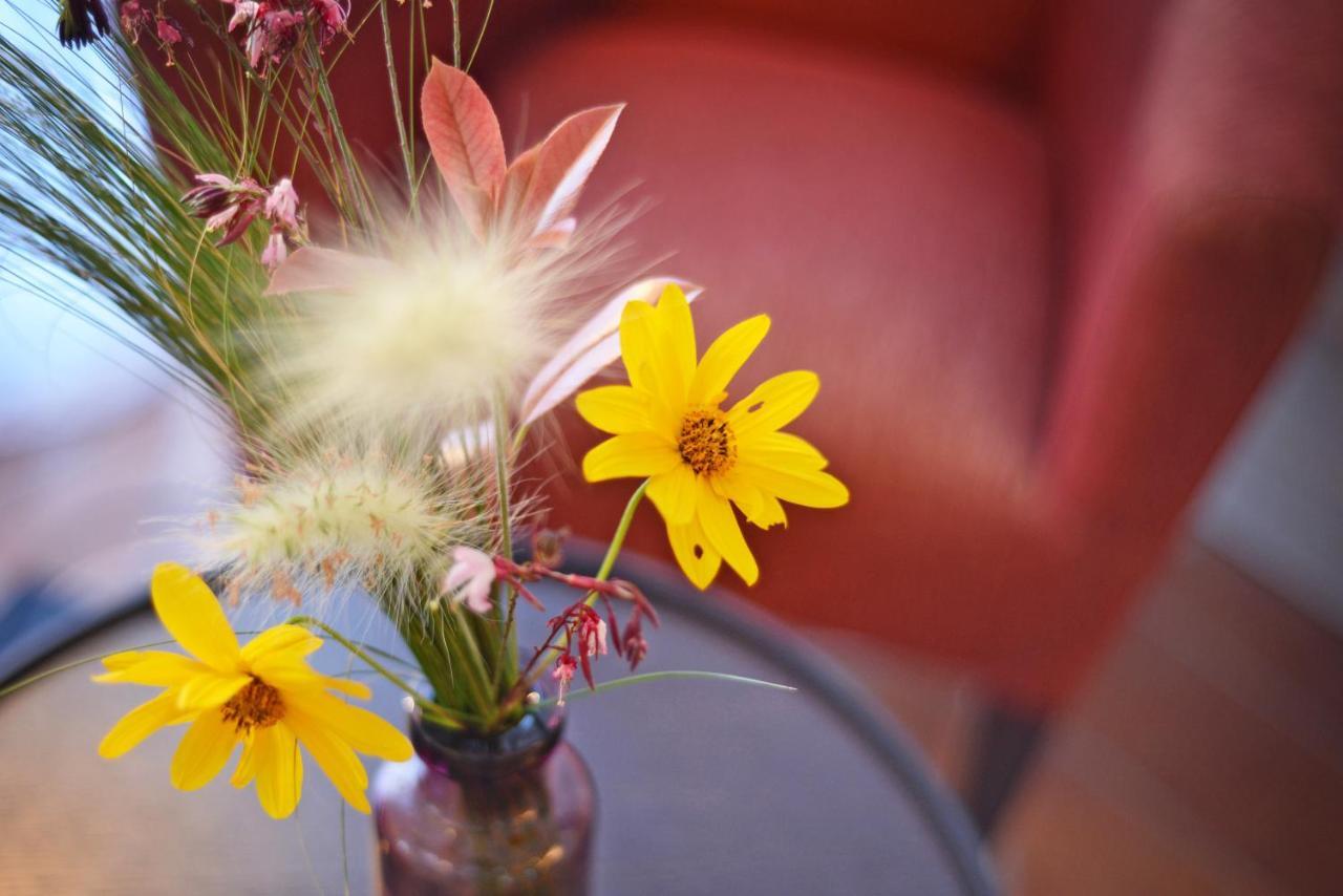 Casa Anamaria Hotel Ollers Eksteriør bilde